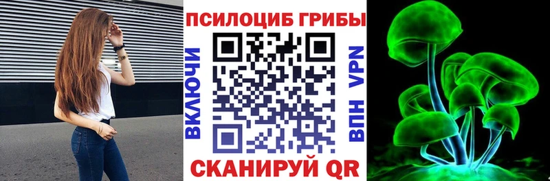 Галлюциногенные грибы Cubensis  Зима 